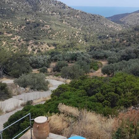 Villa Casablu Stavrokhorion Exterior foto